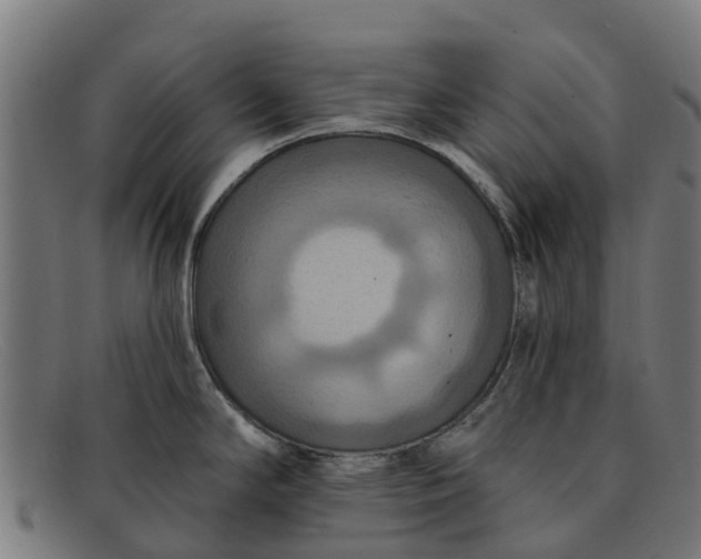 X0000091641294200709131424