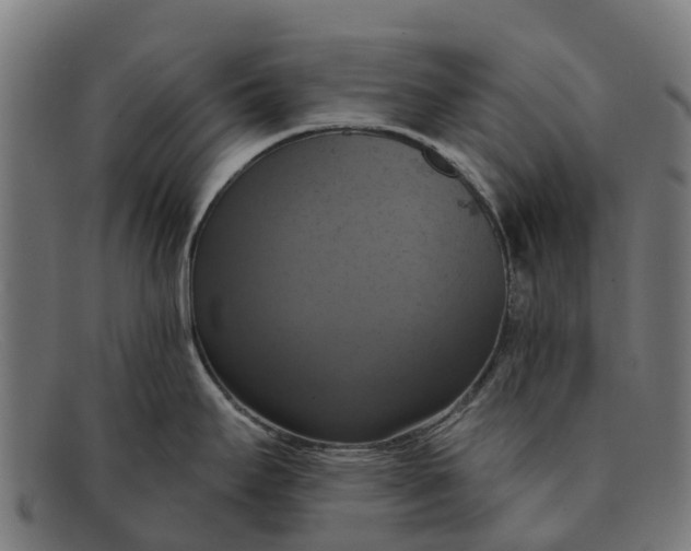 X0000091641295200709131424