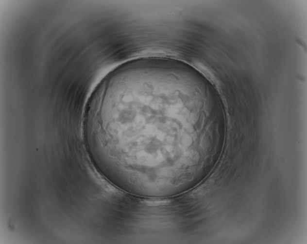 X0000091641296200709131424