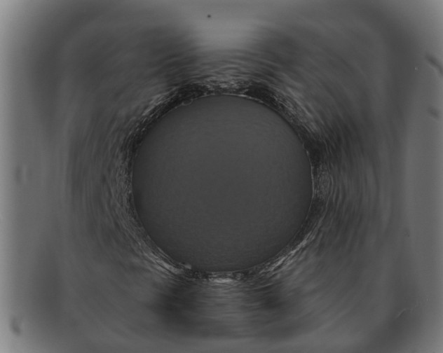 X0000091641297200709131423
