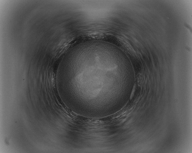 X0000091641298200709131423