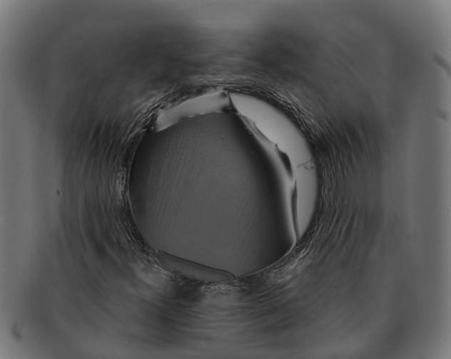 X0000091641300200709131423