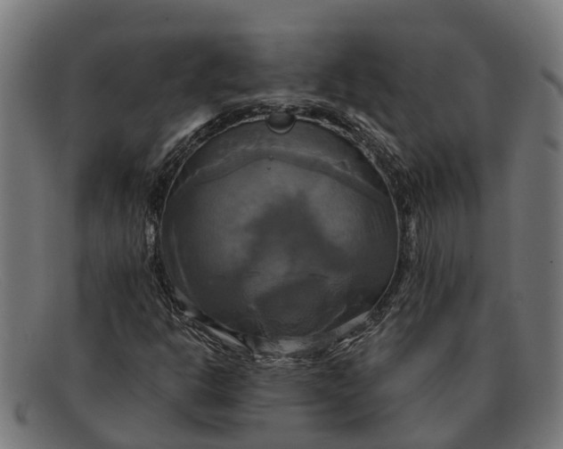 X0000091641302200709131423