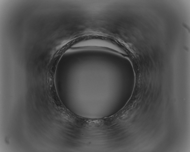 X0000091641303200709131423