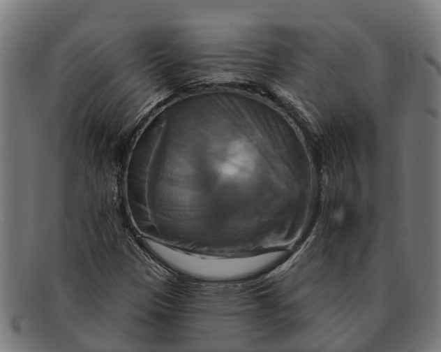 X0000091641305200709131423
