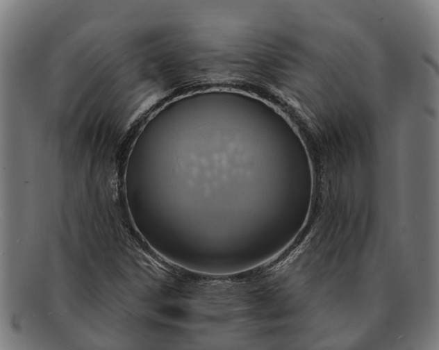 X0000091641306200709131423