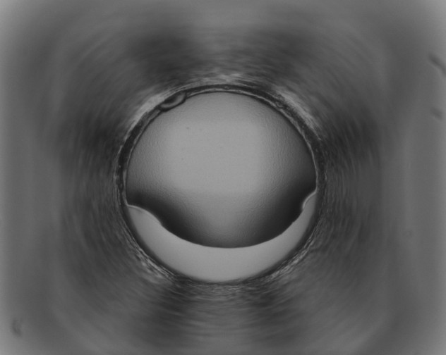X0000091641308200709131423