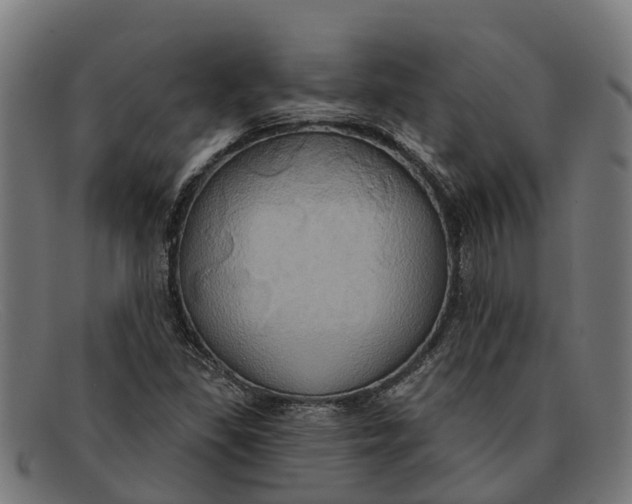 X0000091641309200709131423