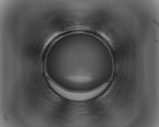 X0000091641310200709131423