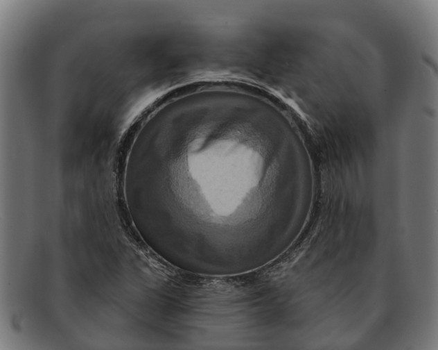 X0000091641311200709131423