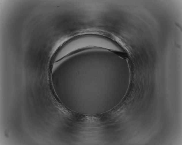 X0000091641312200709131423