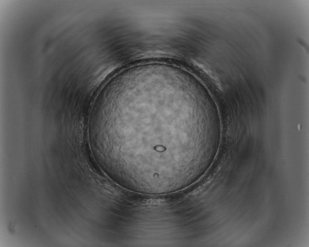 X0000091641313200709131423