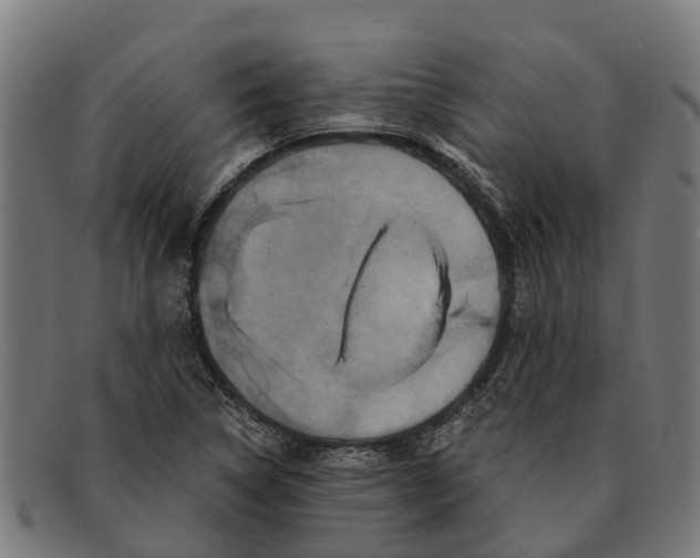 X0000091641314200709131423
