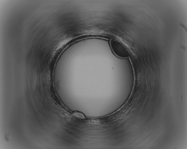 X0000091641315200709131423