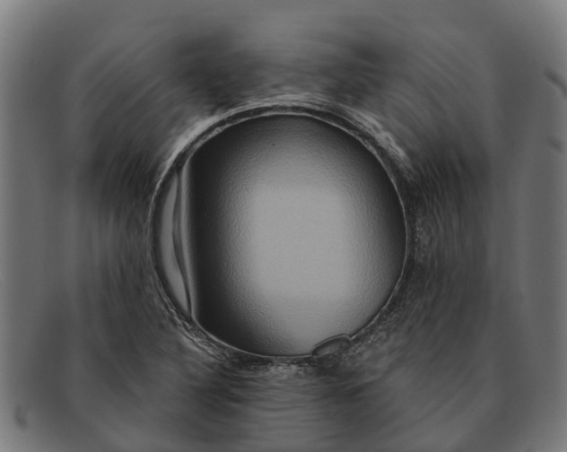 X0000091641316200709131423