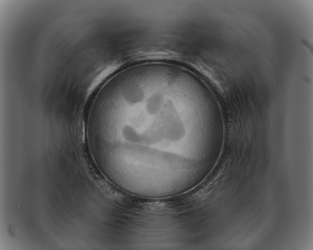 X0000091641317200709131423