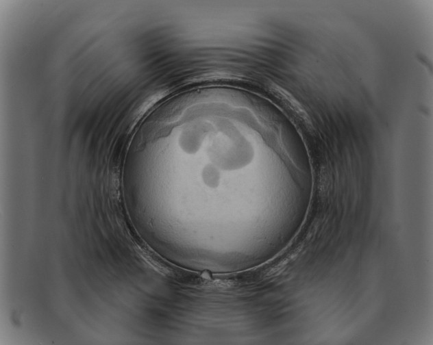 X0000091641321200709131423