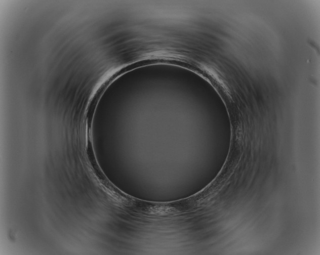 X0000091641323200709131424