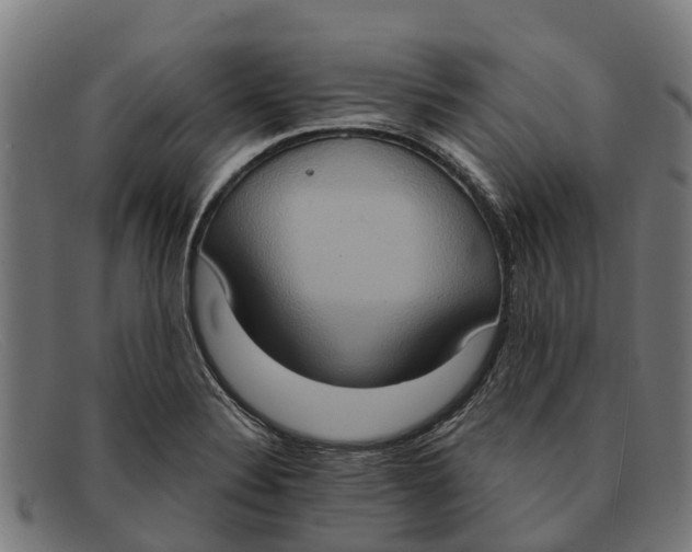 X0000091641324200709131424