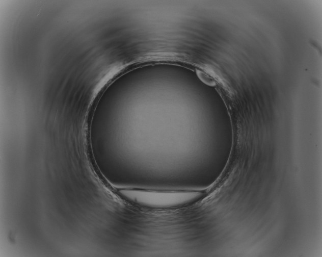 X0000091641325200709131424