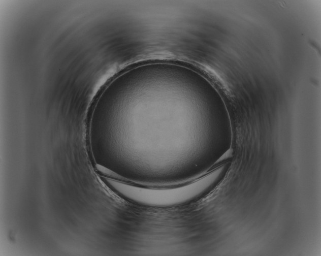 X0000091641326200709131424