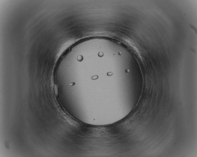 X0000091641328200709131424