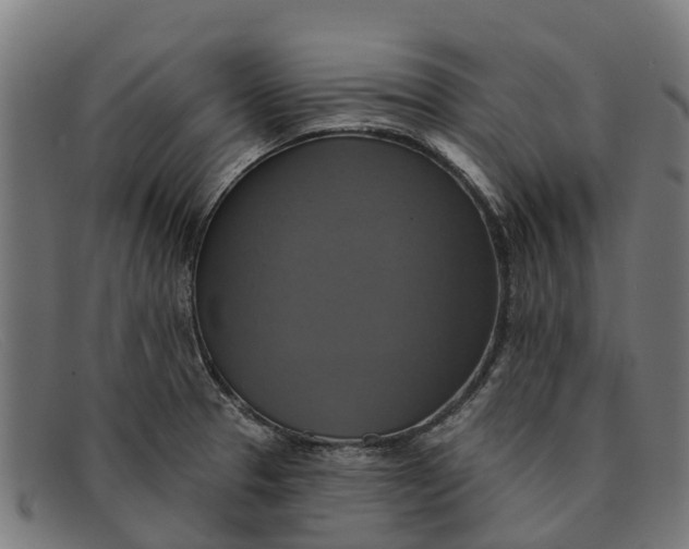 X0000091641329200709131424