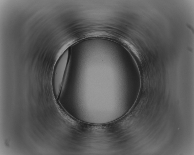 X0000091641330200709131424