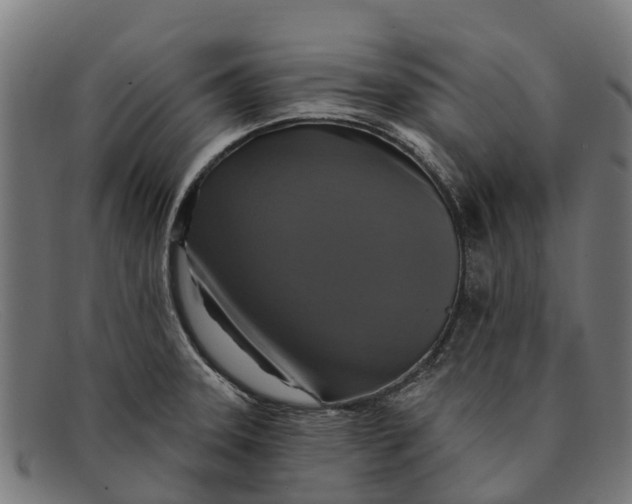 X0000091641331200709131424