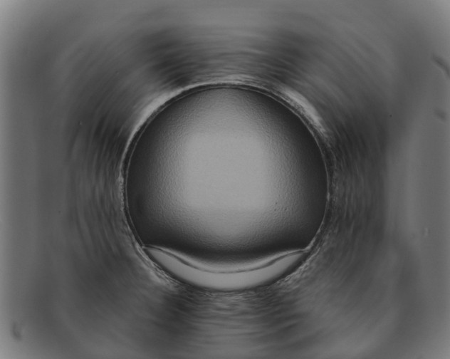 X0000091641332200709131424
