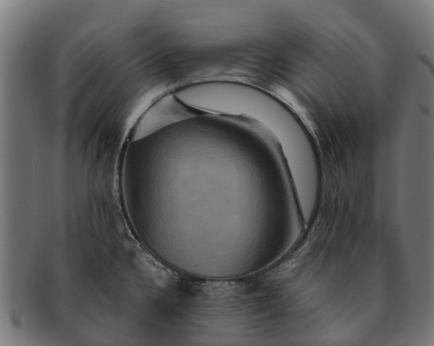 X0000091641336200709131424