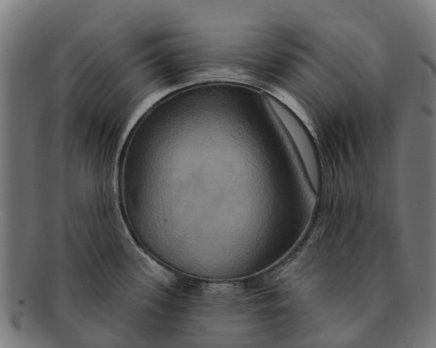 X0000091641339200709131424