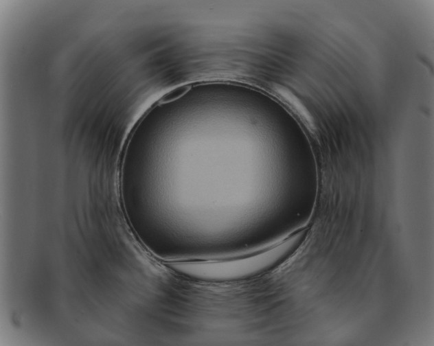 X0000091641340200709131424