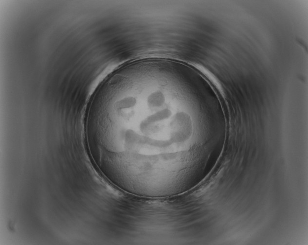 X0000091641341200709131424