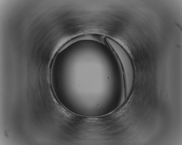 X0000091641342200709131424