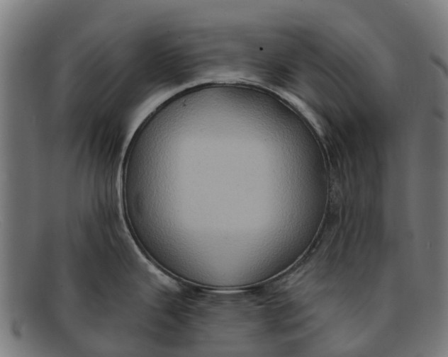 X0000091641343200709131424