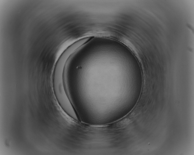 X0000091641344200709131424
