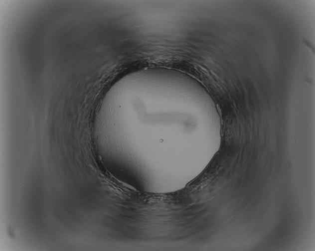 X0000091641345200709131423