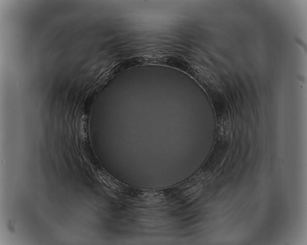 X0000091641346200709131423