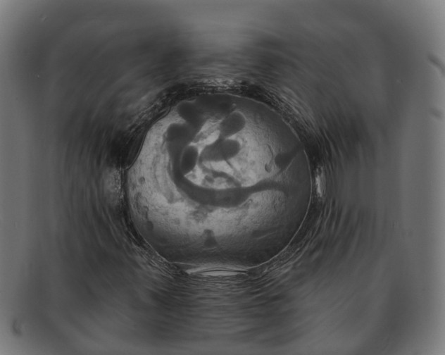 X0000091641347200709131423