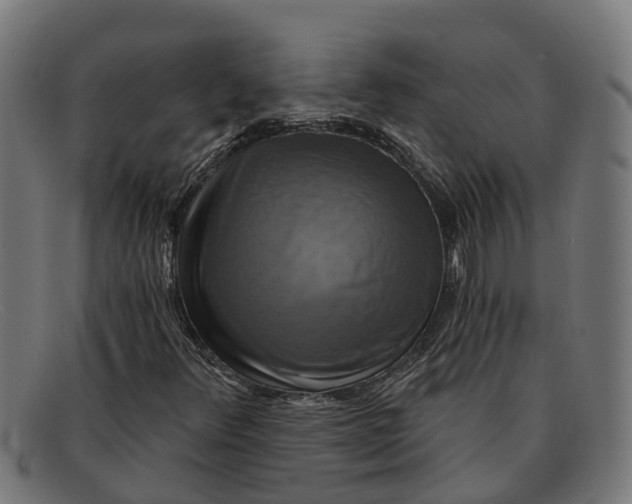 X0000091641348200709131423