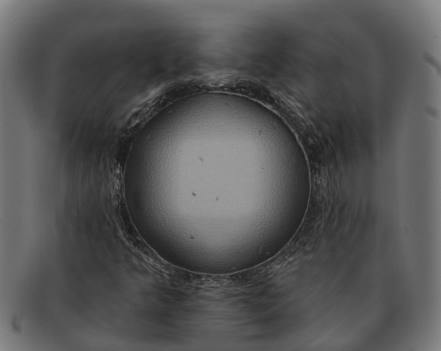 X0000091641349200709131423
