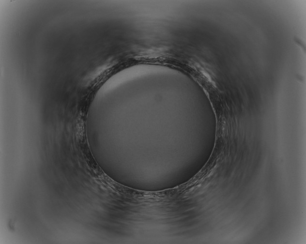 X0000091641350200709131423