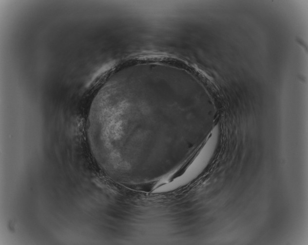 X0000091641351200709131423