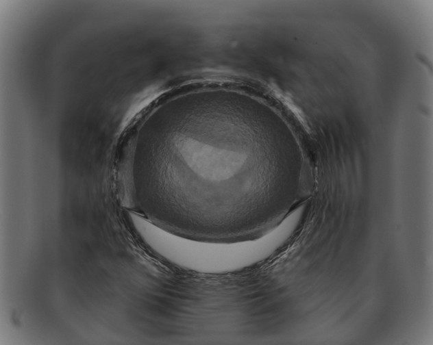 X0000091641352200709131423