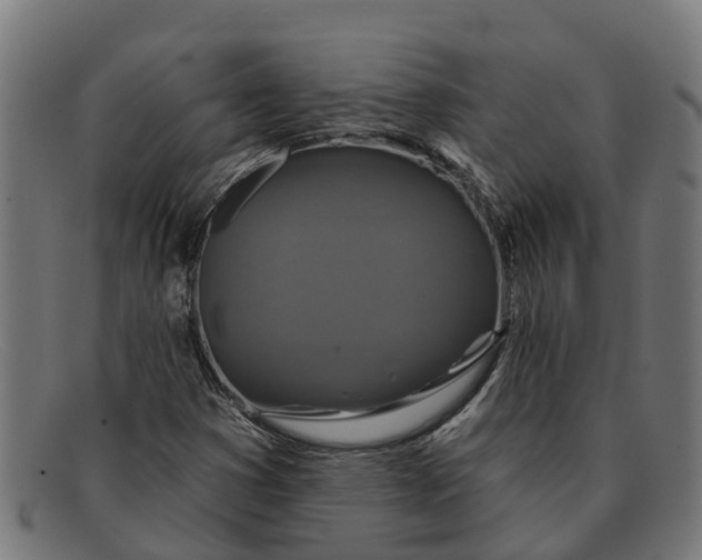 X0000091641353200709131423