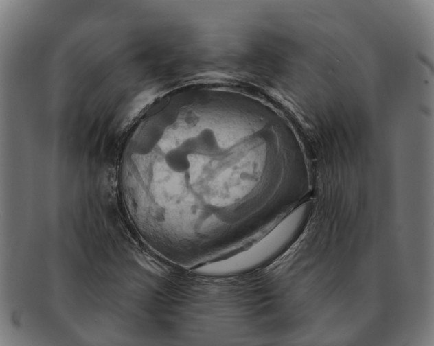 X0000091641355200709131423