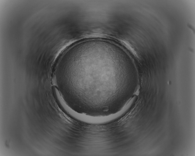 X0000091641356200709131423