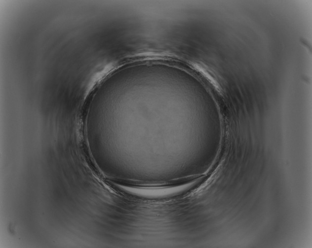 X0000091641357200709131423