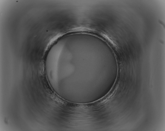 X0000091641358200709131423